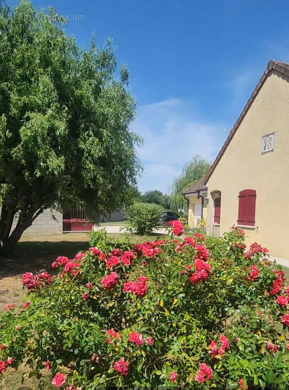 Maison Pagny Le Chateau 3 chambres - photo 10