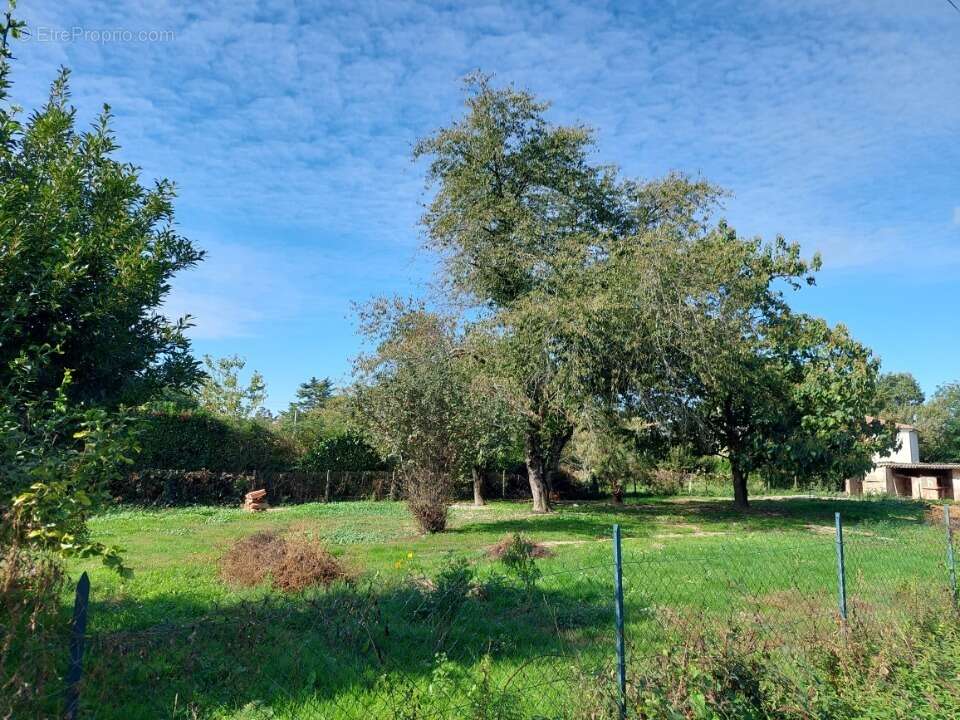 Terrain à MIREPOIX-SUR-TARN