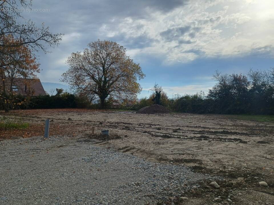 Terrain à PREVESSIN-MOENS