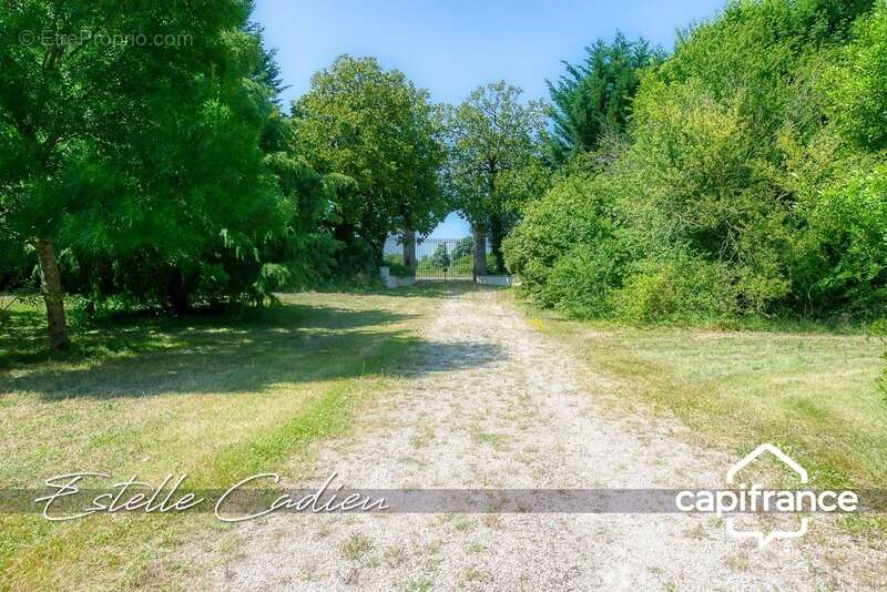 Maison à CHANTONNAY