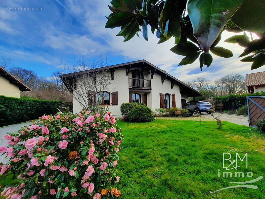 Maison à SAINT-VINCENT-DE-TYROSSE