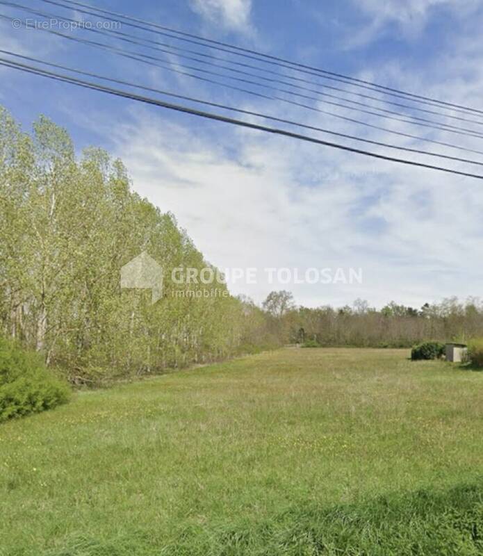 Terrain à MONTAUBAN