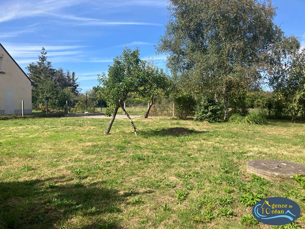 Terrain à PENESTIN