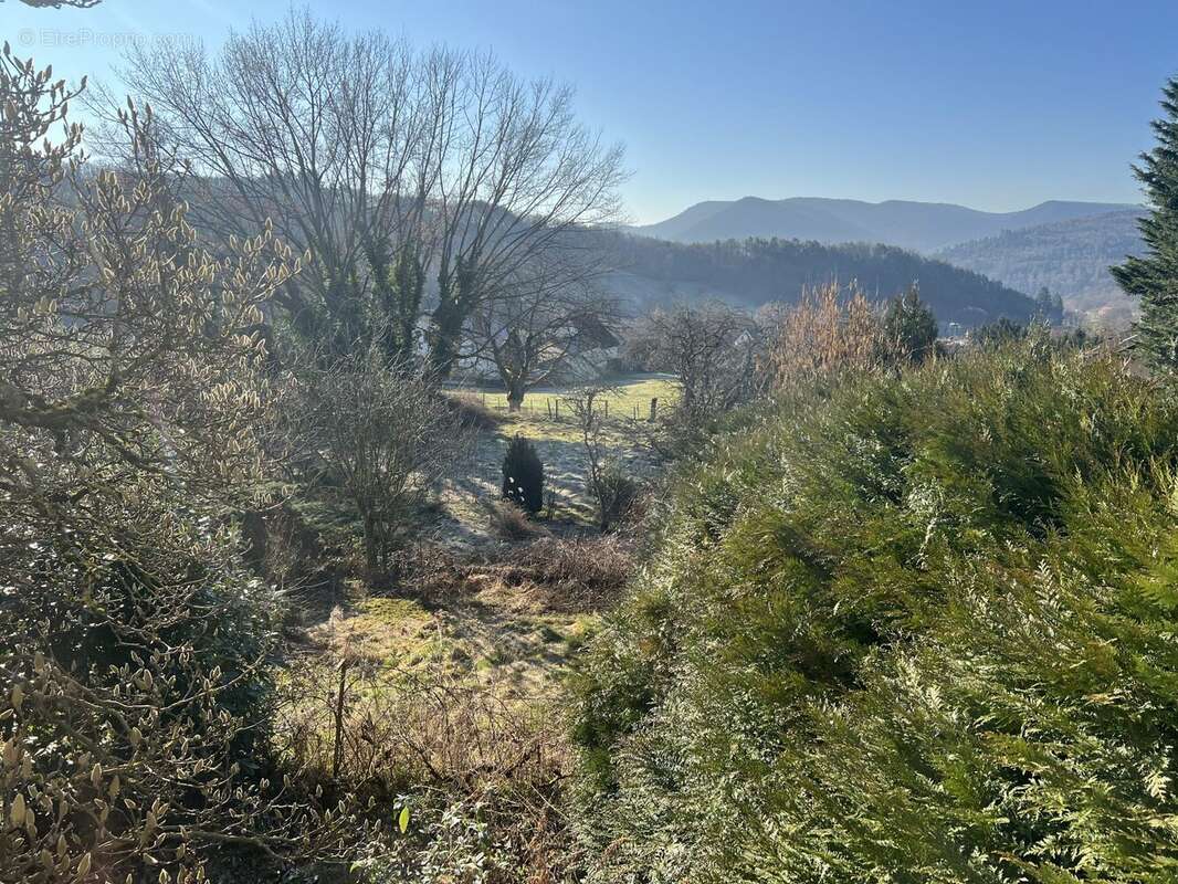 Appartement à BREITENBACH