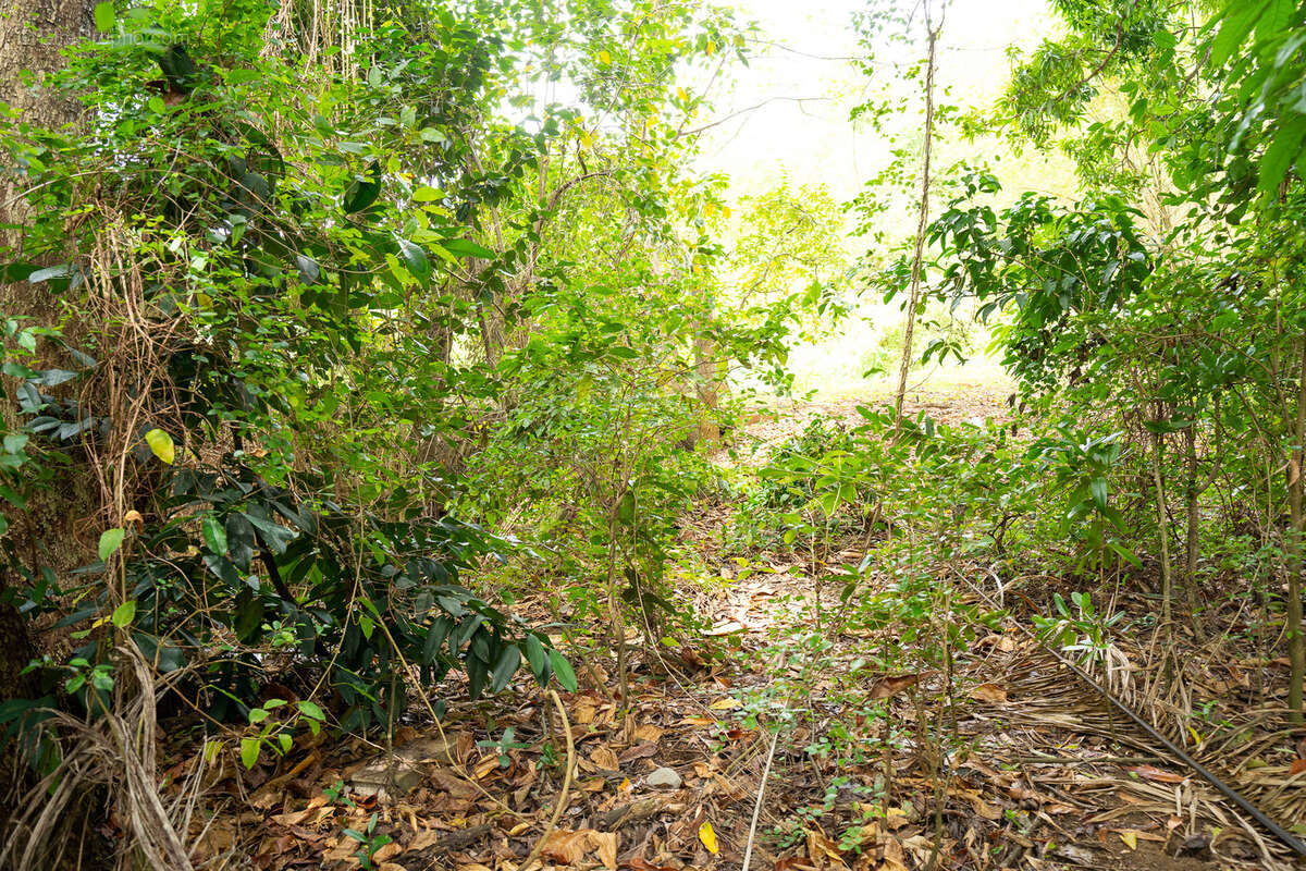 Terrain à POINTE-NOIRE