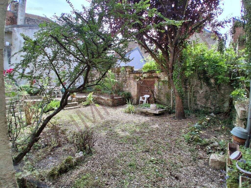 Maison en pierres jardin clos de murs 89144 bourgogne - photo 4