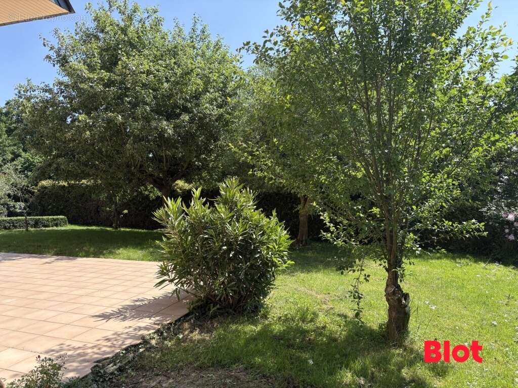 Maison à VEZIN-LE-COQUET