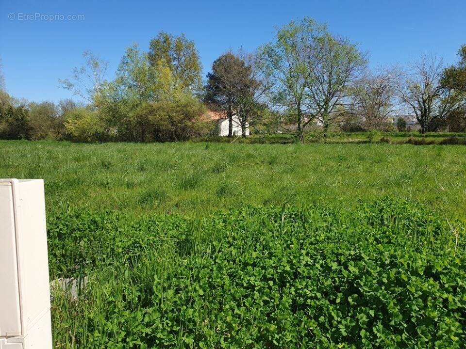 Terrain à SAINT-ANDRE-DE-CUBZAC