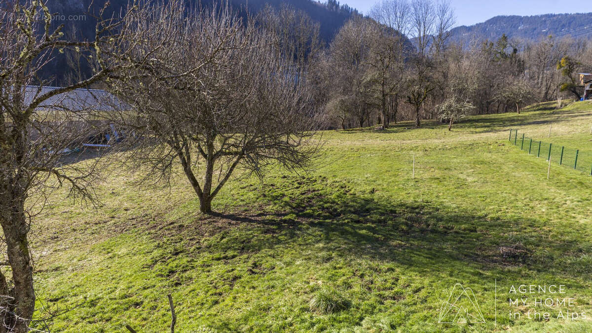 Terrain à SAINT-JEAN-D&#039;AULPS