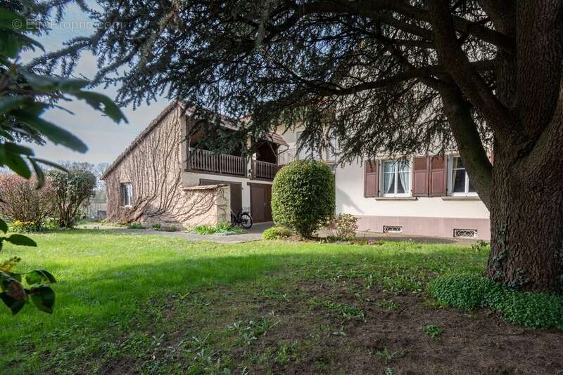 Maison à LAMPERTHEIM