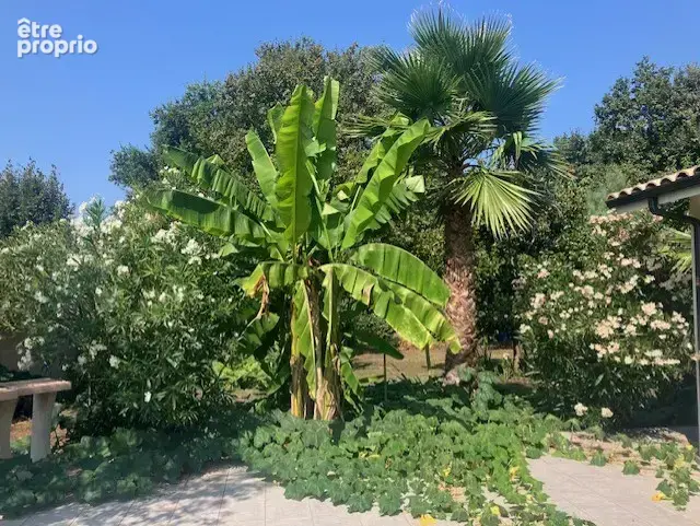 Au coeur d'un jardin paysagé sans vis à vis, maison 3 ch possibilité 4 à 15 minutes de l'océan - photo 5
