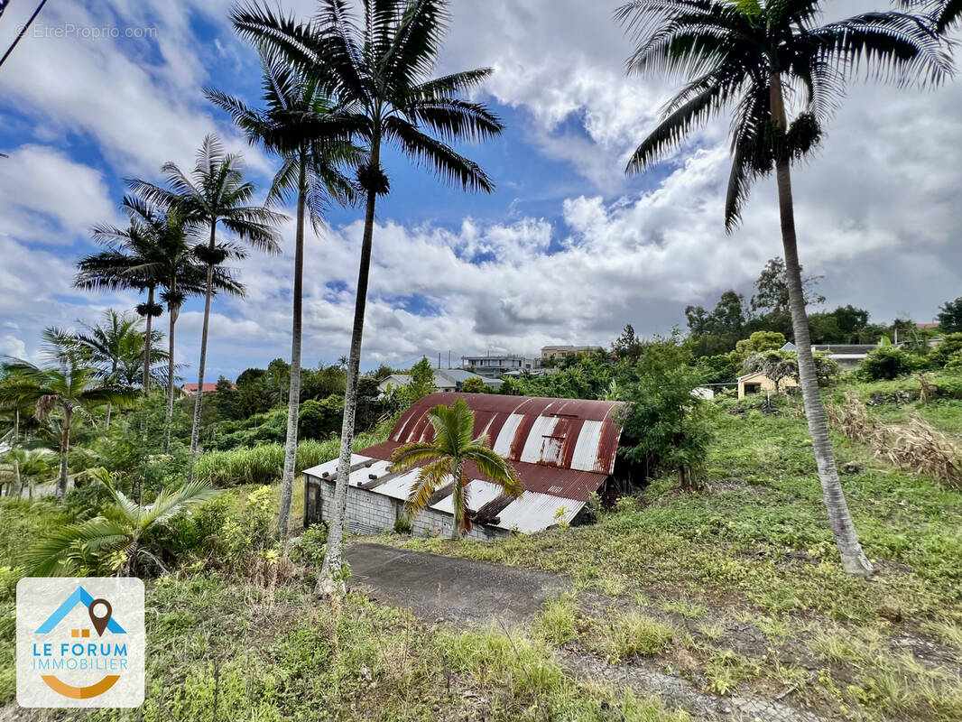 Terrain à LE TAMPON