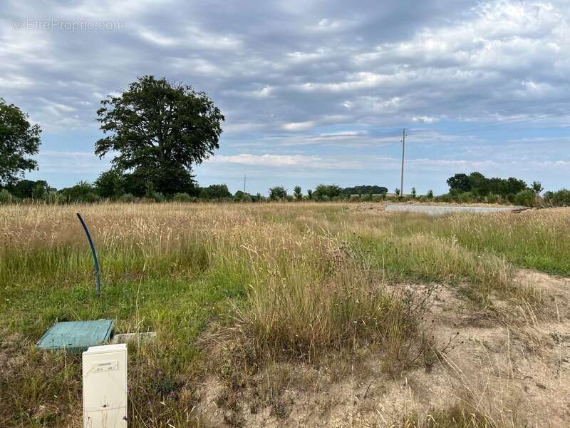 Terrain à vendre de 935,00 m² BONNEMAISON (14) - photo 8