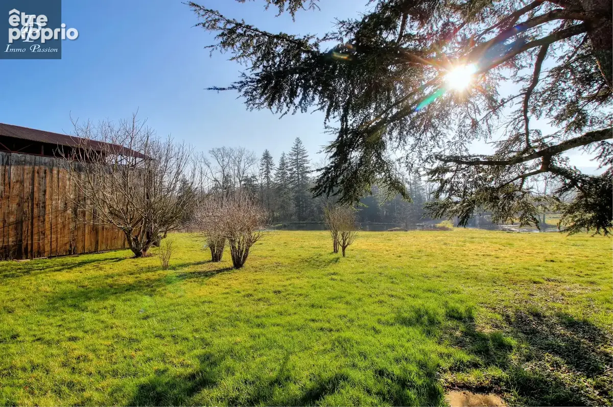 A VENDRE Proche COUSANCE : Magnifique Propriété 11 pièces 350 m2 - photo 39