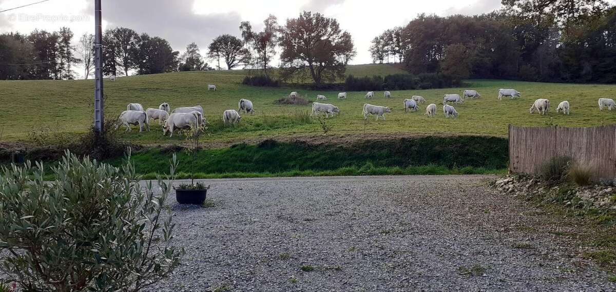 Maison à SAINT-GERVAIS-D&#039;AUVERGNE