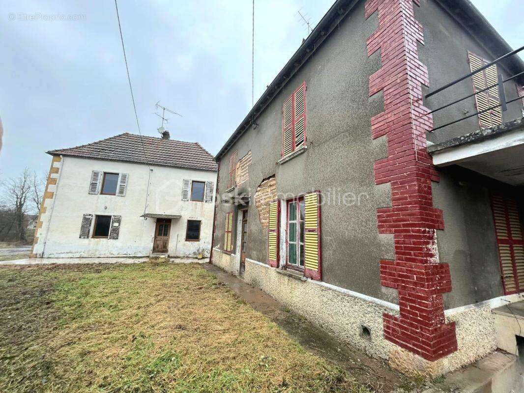 Tènement immobilier avec fort potentiel – 2 maisons + Dépendances – Terrain 3 500 m² – Bord de canal - photo 2