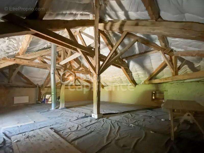 AV Maison en pierre dépendances terrain - photo 9