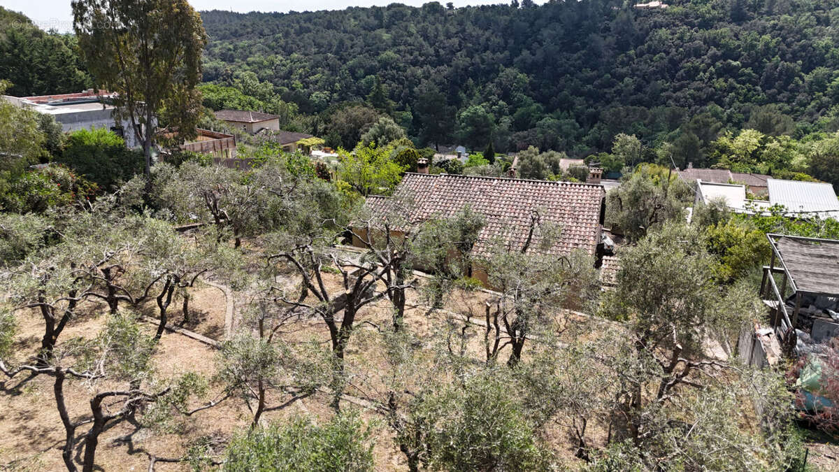 Maison à VALBONNE