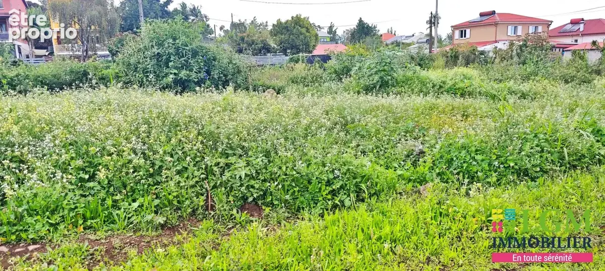 Lot 1 de 552m2 utile et plat en secteur calme sur Bras Creux, Le TAMPON - photo 3