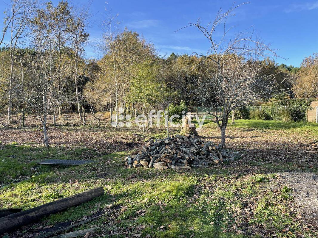 Terrain à AUREILHAN