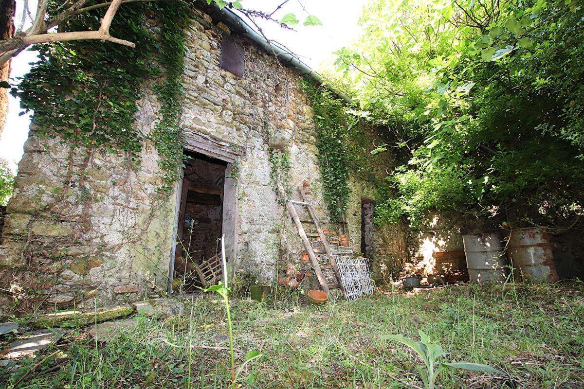 RARE - Demeure de caractère de 300 m² à rénover sur 5 385 m² de terrain - photo 5