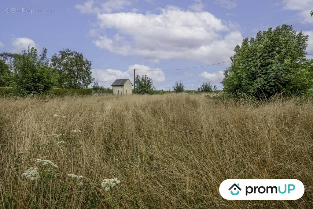 Terrain à THIEUX