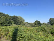 Terrain à CONCARNEAU