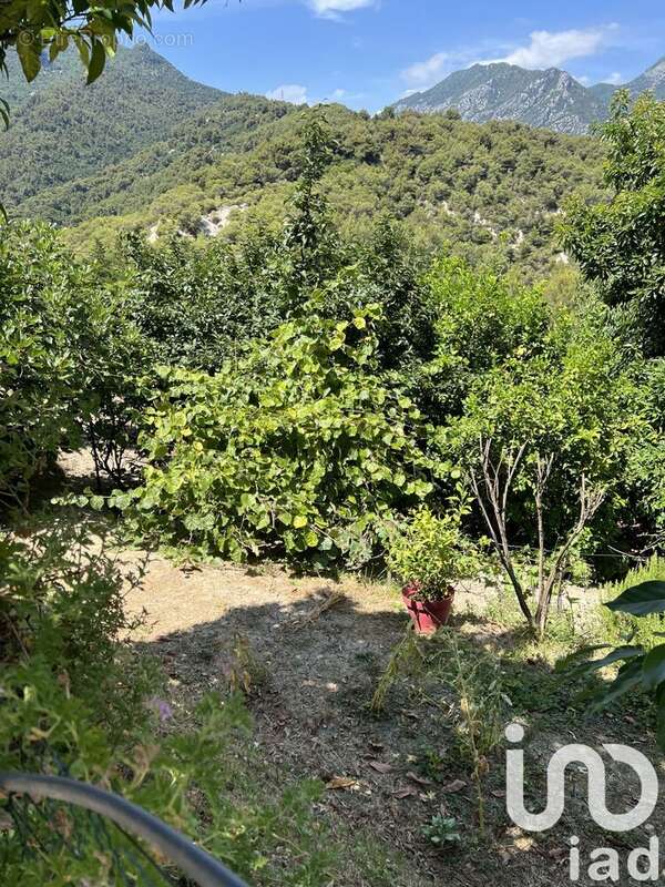 Photo 6 - Terrain à MENTON