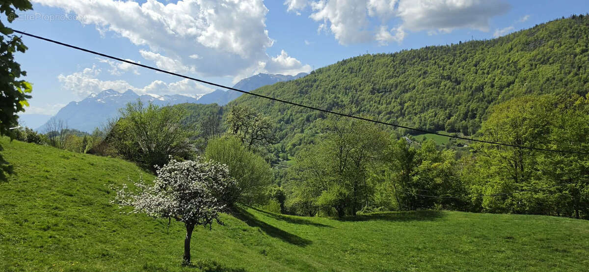 Maison Idéale au Cœur de la Nature   BeauFortain - photo 25