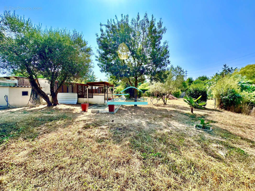 Montpellier Sud/Ouest beau terrain de loisir de 715M2 avec cabanon - photo 7