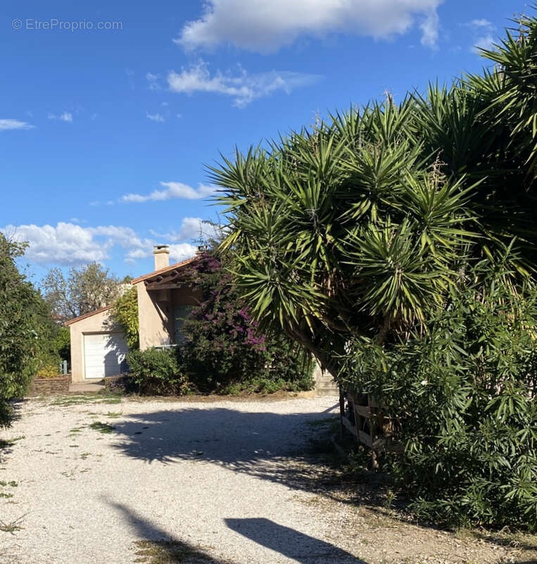 Maison à RIVESALTES
