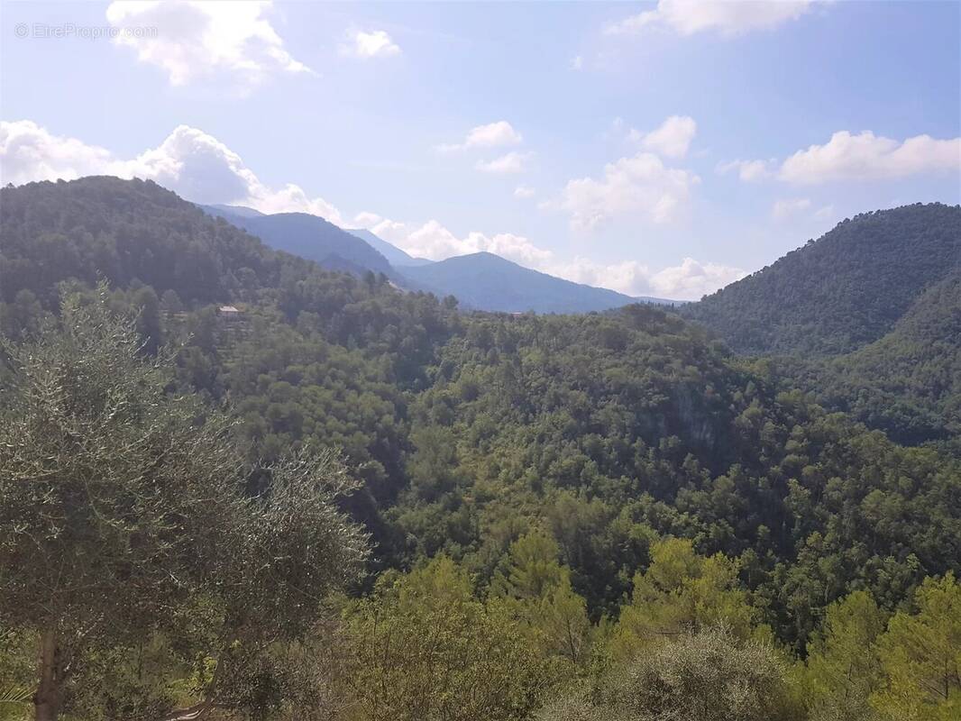 Maison à L'ESCARENE