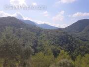 Maison à L'ESCARENE