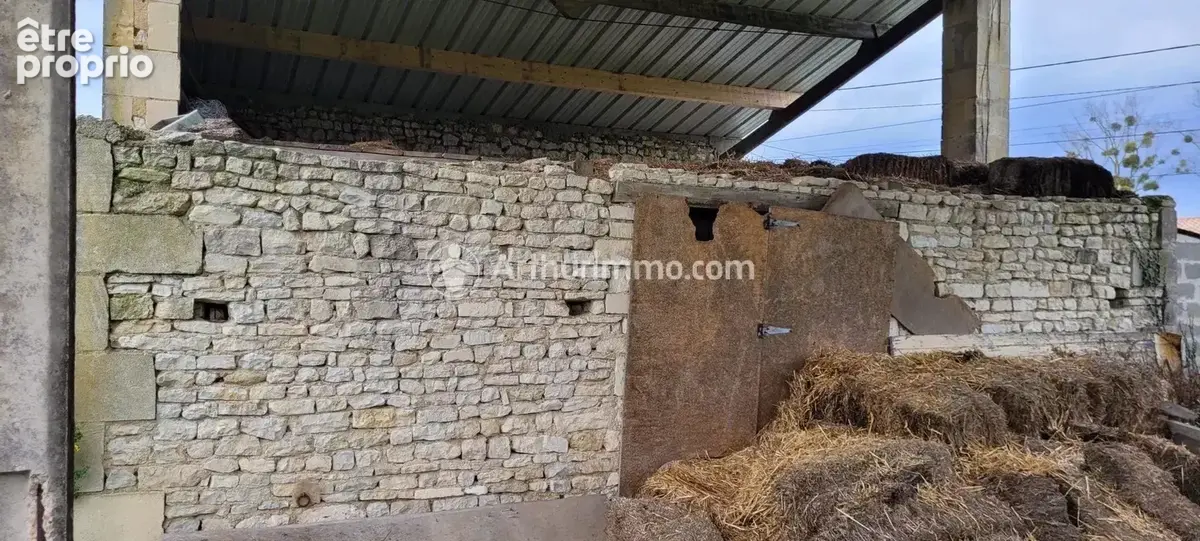 Vente Terrain Asnieres-la-giraud(17400) 54 500ï¿œ - photo 8