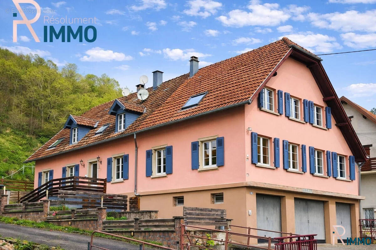 Maison à FRELAND