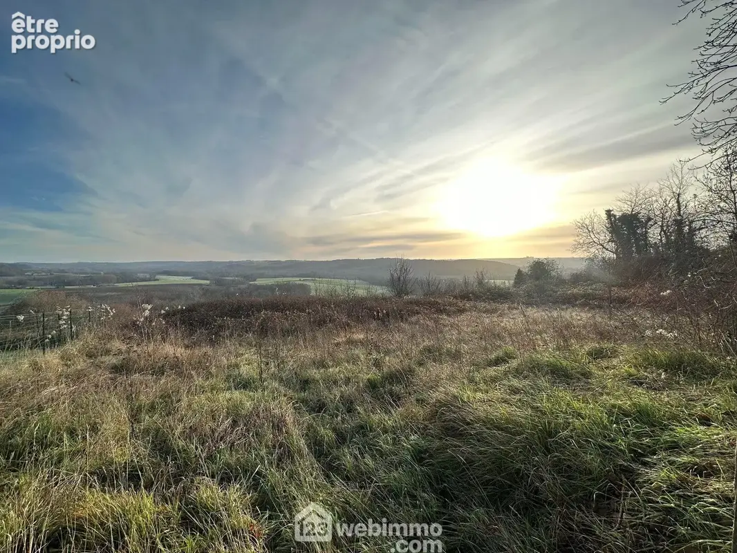 Magnifique terrain d'une surface de 4478 m² - Terrain à MONTHENAULT