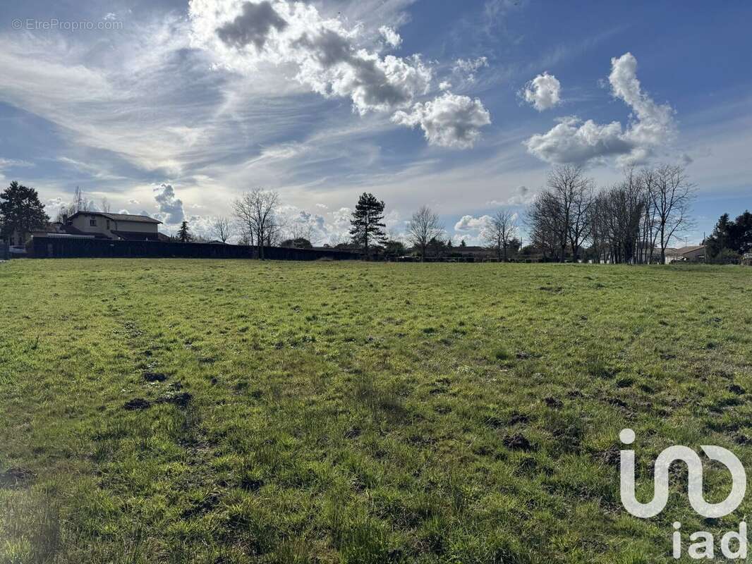 Terrain 1055 m² à Bressols  - photo 3