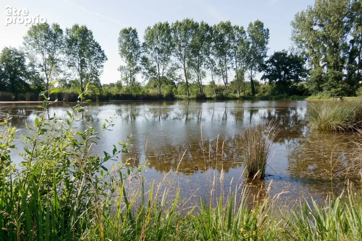 Sud Cher : pté 40 ha : grange réhabilitée, dépendances, étang, prairie, taillis - photo 13