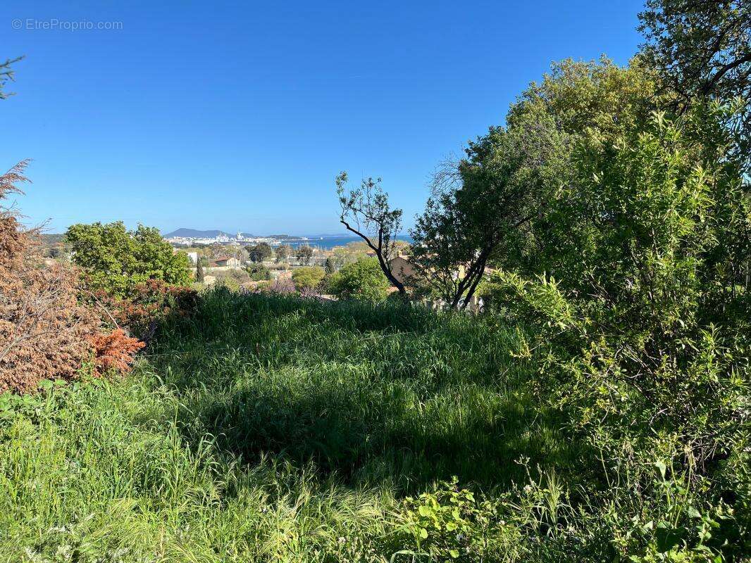 Terrain à OLLIOULES