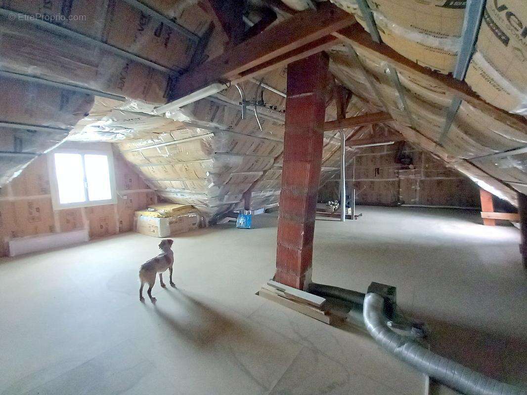Maison plain-pied - 95m²-  AMBRIERES LES VALLEES (53) - photo 16