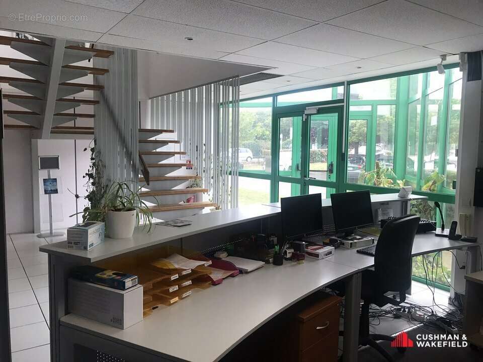 Commerce à TOULOUSE