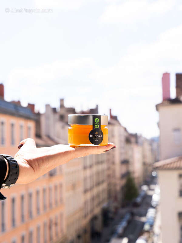 Appartement à LYON-2E