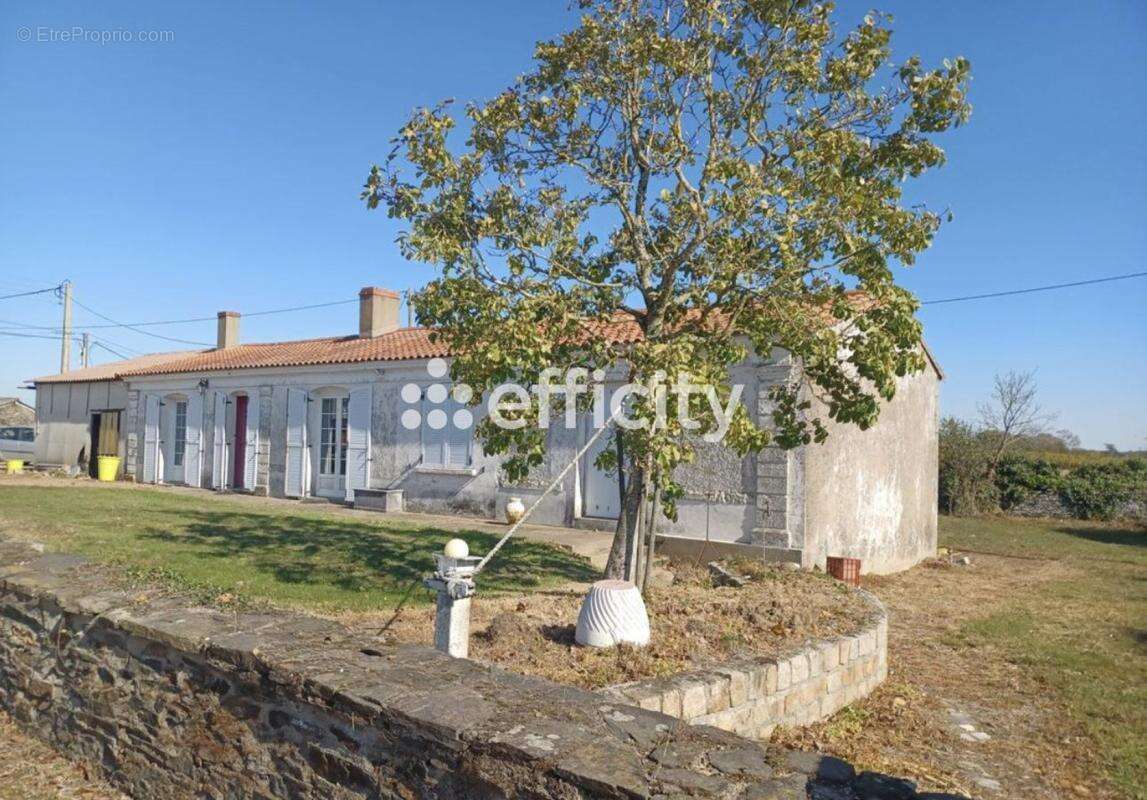 Maison à SAINT-JULIEN-DE-CONCELLES