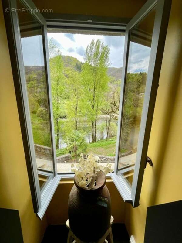 Maison à VIEILLEVIE