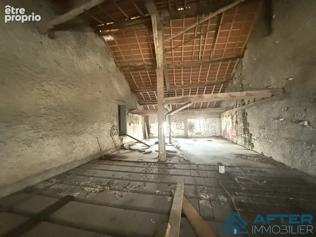 Maison 300 m² à Xermamenil  - photo 7