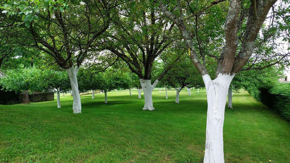 Maison à PASSAVANT-LA-ROCHERE