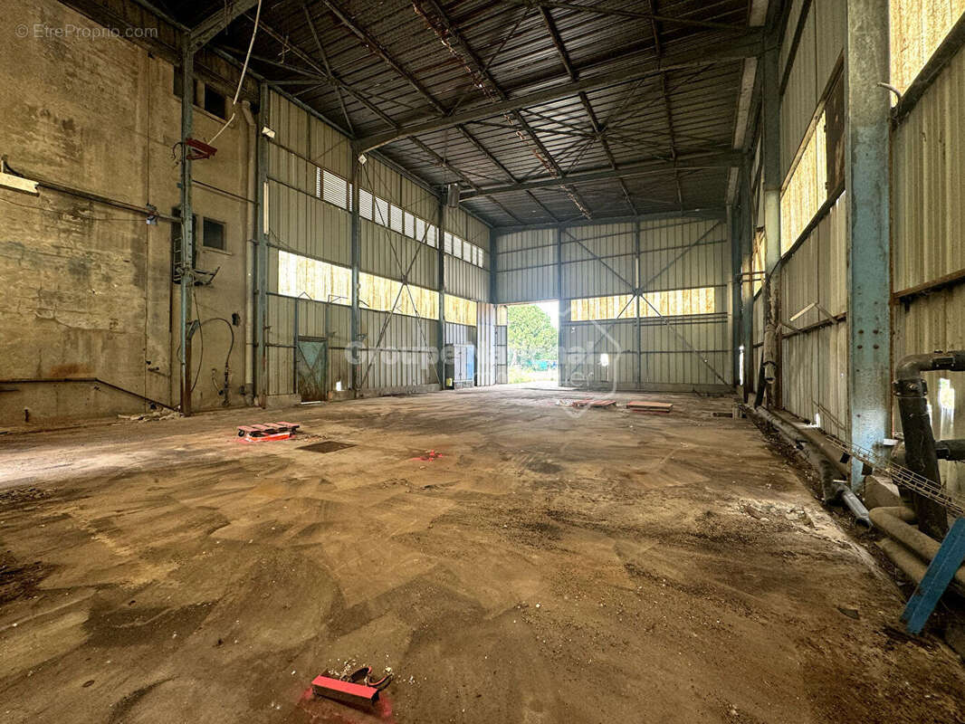 Commerce à LANSARGUES