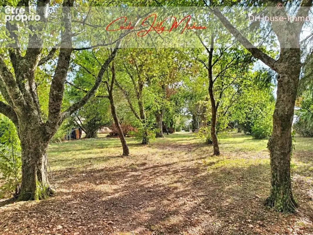 Maison 8 pièces 173 m² à vendre à Saint-Caprais-De-Blaye (33820) - photo 8