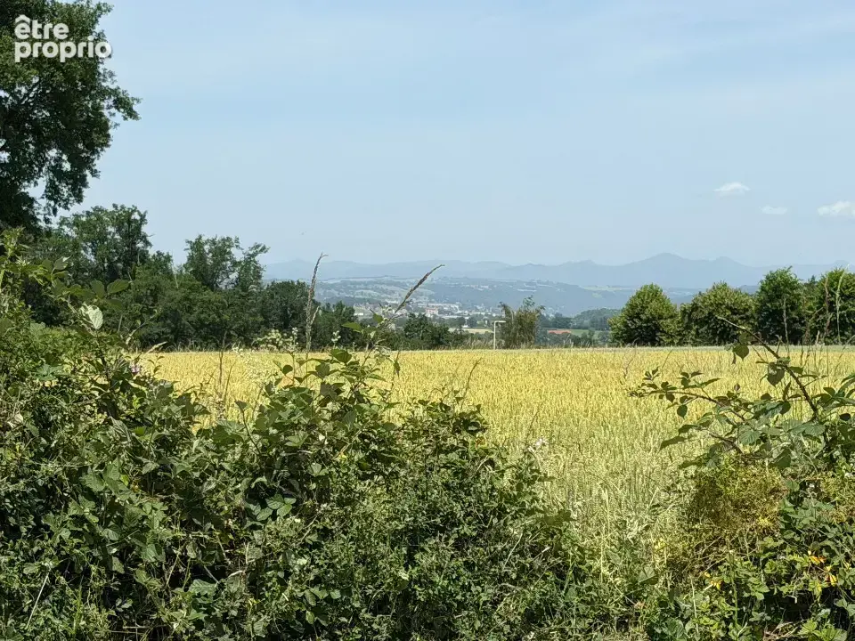 Terrain à ROANNES-SAINT-MARY