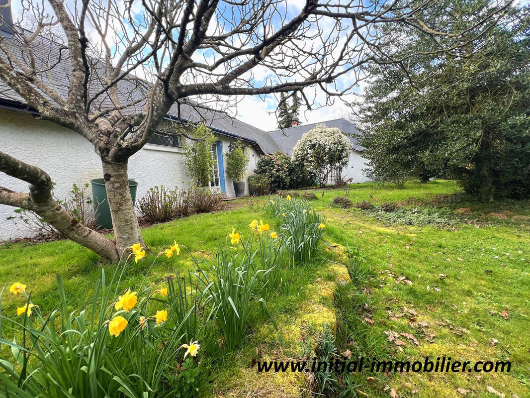 Maison à LA MEMBROLLE-SUR-CHOISILLE